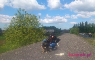 pati, Female, 37, Siemianowice Śląskie, Polska, Photo: 1