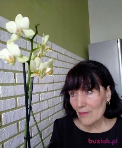 Nadia, Kobieta, 74, Brodnica, Polska, Zdjęcie: 2
