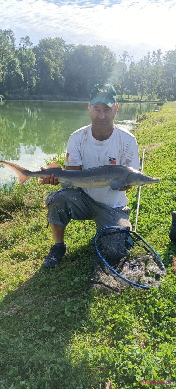 Witek , Mężczyzna, 49, Częstochowa, Polska: 1