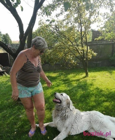 Halina, Female, 80, Mikołów, Polska, Photo: 19