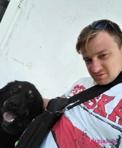 Miłosz, Male, 36, Berlin, Niemcy: 1