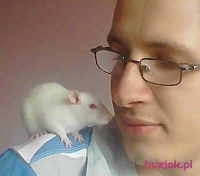 Bartłomiej, Male, 32, Busko-Zdrój, Polska, Photo: 1