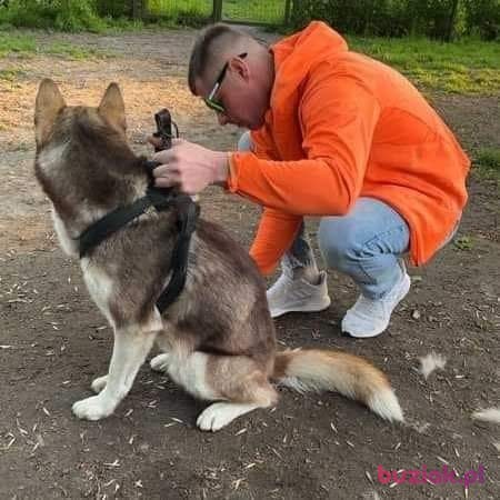 Przemek, Male, 35, Lublin, Polska, Photo: 2