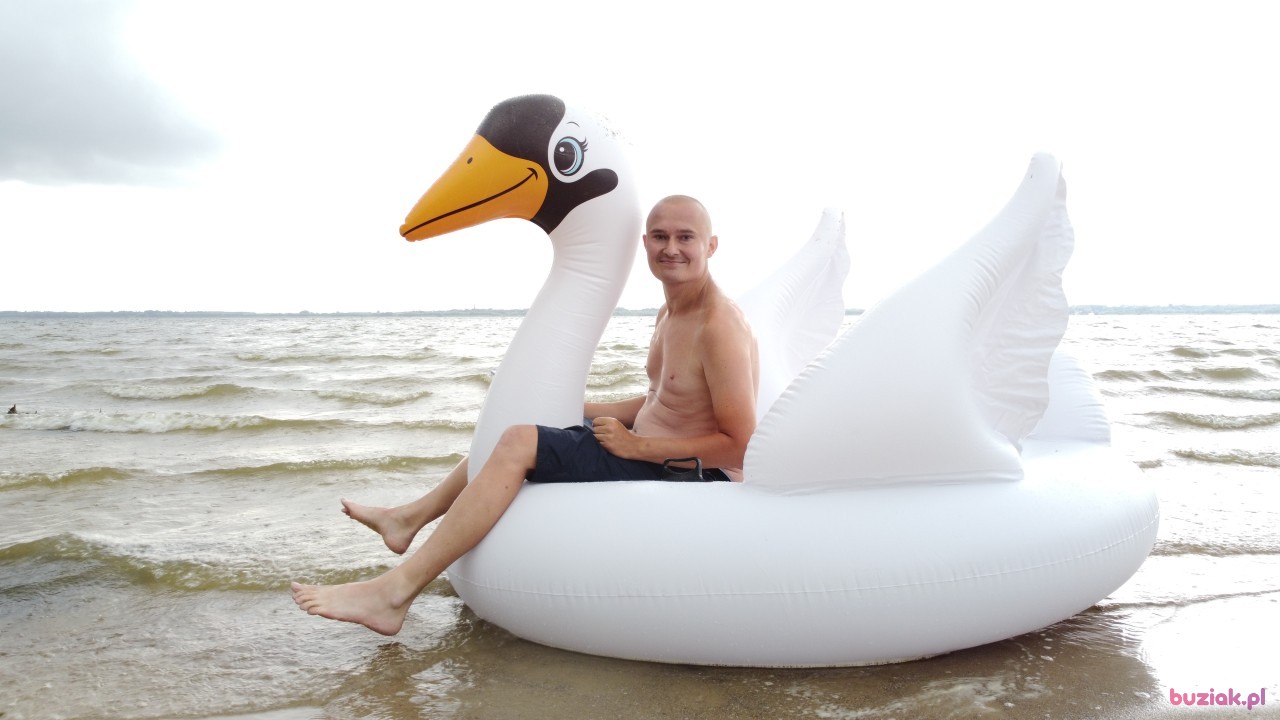 Michał, Mężczyzna, 36, Zgierz, Polska, Zdjęcie: 525