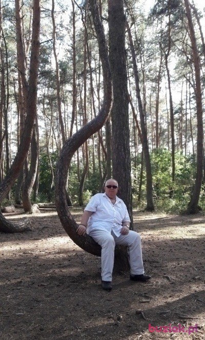 Leszek, Male, 74, Szczecin, Polska, Photo: 5