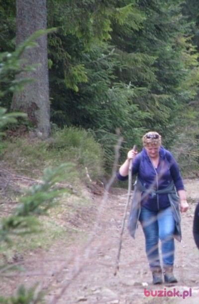 Danuta, Kobieta, 63, Bytom, Polska, Zdjęcie: 5