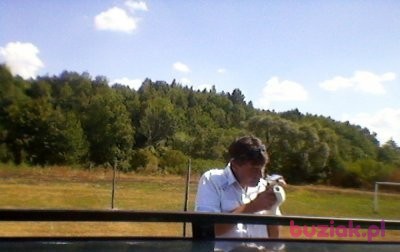 Mariusz2790, Male, 53, Polska: 1