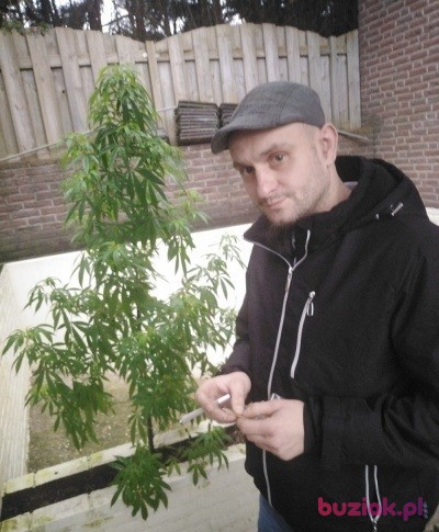 cebul1986, Male, 39, Holandia, Photo: 4