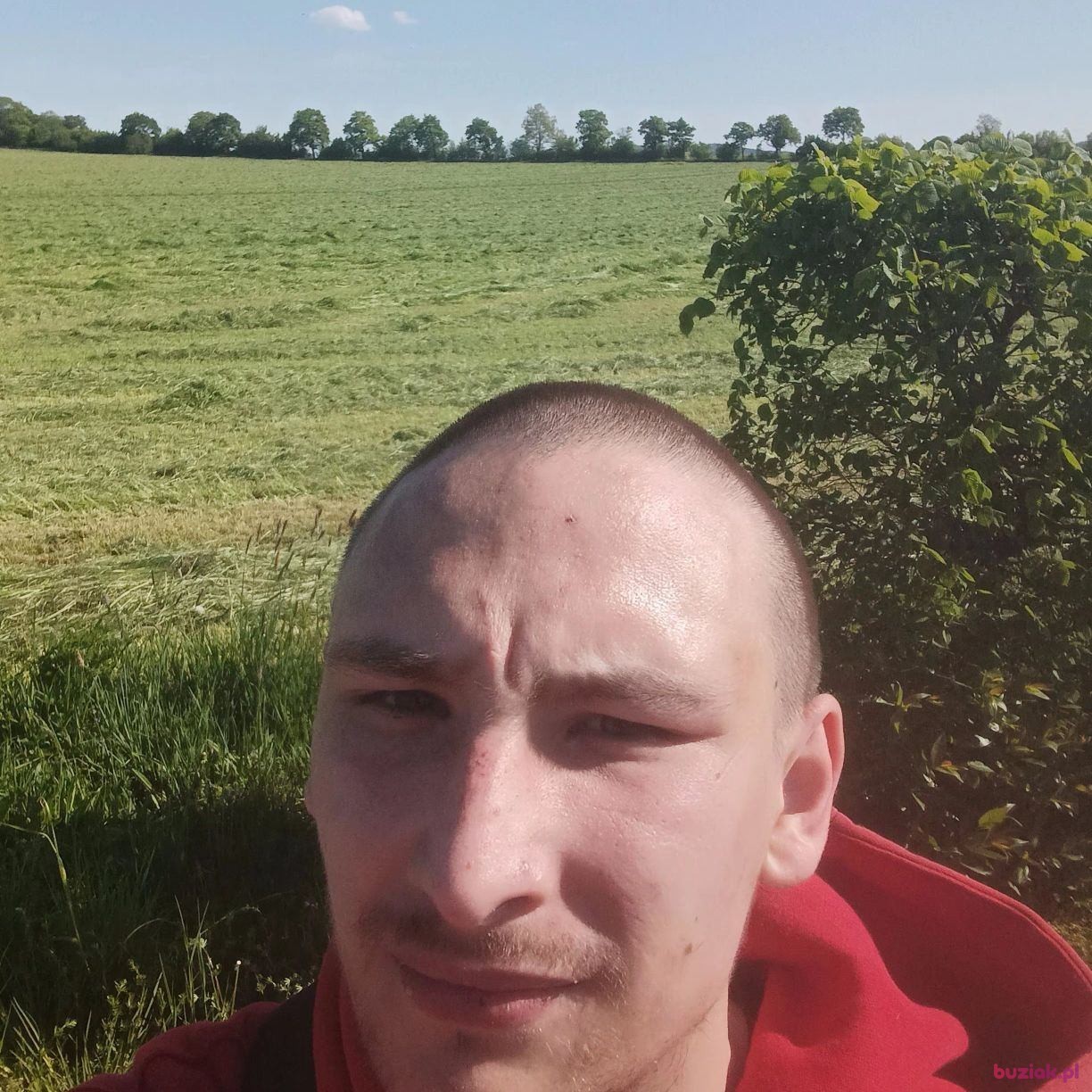 paweł, Male, 26, Niemcza, Polska: 1