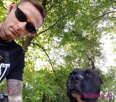 Lukasz, Male, 38, Southampton, Wielka Brytania: 1