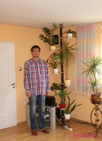 Kamil, Mężczyzna, 35, Ząbkowice Śląskie, Polska, Zdjęcie: 4