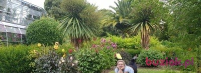 Julita, Female, 36, Chojnów, Polska, Photo: 3