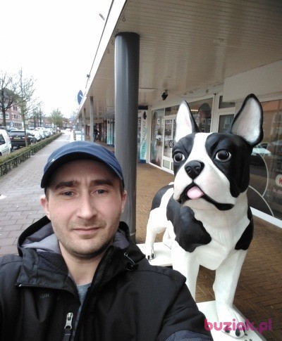 Artur , Mężczyzna, 37, Oss North Brabant Province, Holandia, Zdjęcie: 2