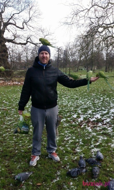 Aureliusz, Mężczyzna, 47, Westminster, Wielka Brytania, Zdjęcie: 13