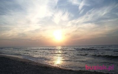 jendrek, Male, 57, Lublin, Polska, Photo: 4