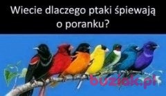 Pawel , Mężczyzna, 42, Łódź, Polska, Zdjęcie: 8
