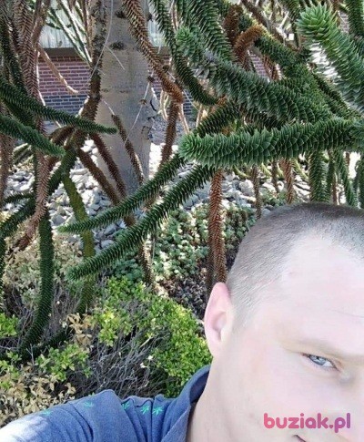 Mariusz, Mężczyzna, 37, Sieradz, Polska, Zdjęcie: 4