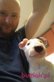 Łukasz, Mężczyzna, 43, Gdynia, Polska, Zdjęcie: 1