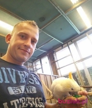 Monboyapeldoorn, Male, 33, Holandia, Photo: 1