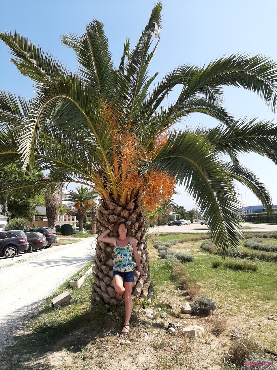 Aleksandra001, Female, 45, Rybnik, Polska, Photo: 2