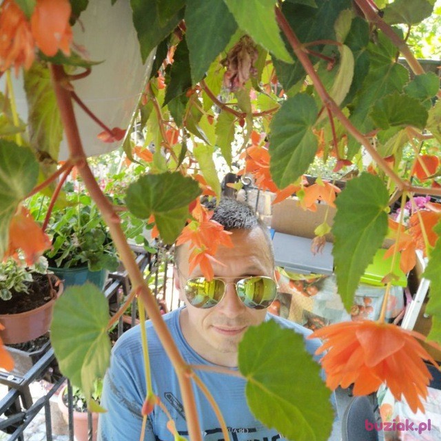 Łukasz, Mężczyzna, 40, Jelenia Góra, Polska: 1