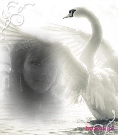malutka, Female, 45, Świdnica, Polska, Photo: 1