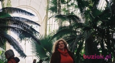 Aleksandra Sieradzka-Plis, Female, 64, Wielka Brytania, Photo: 1