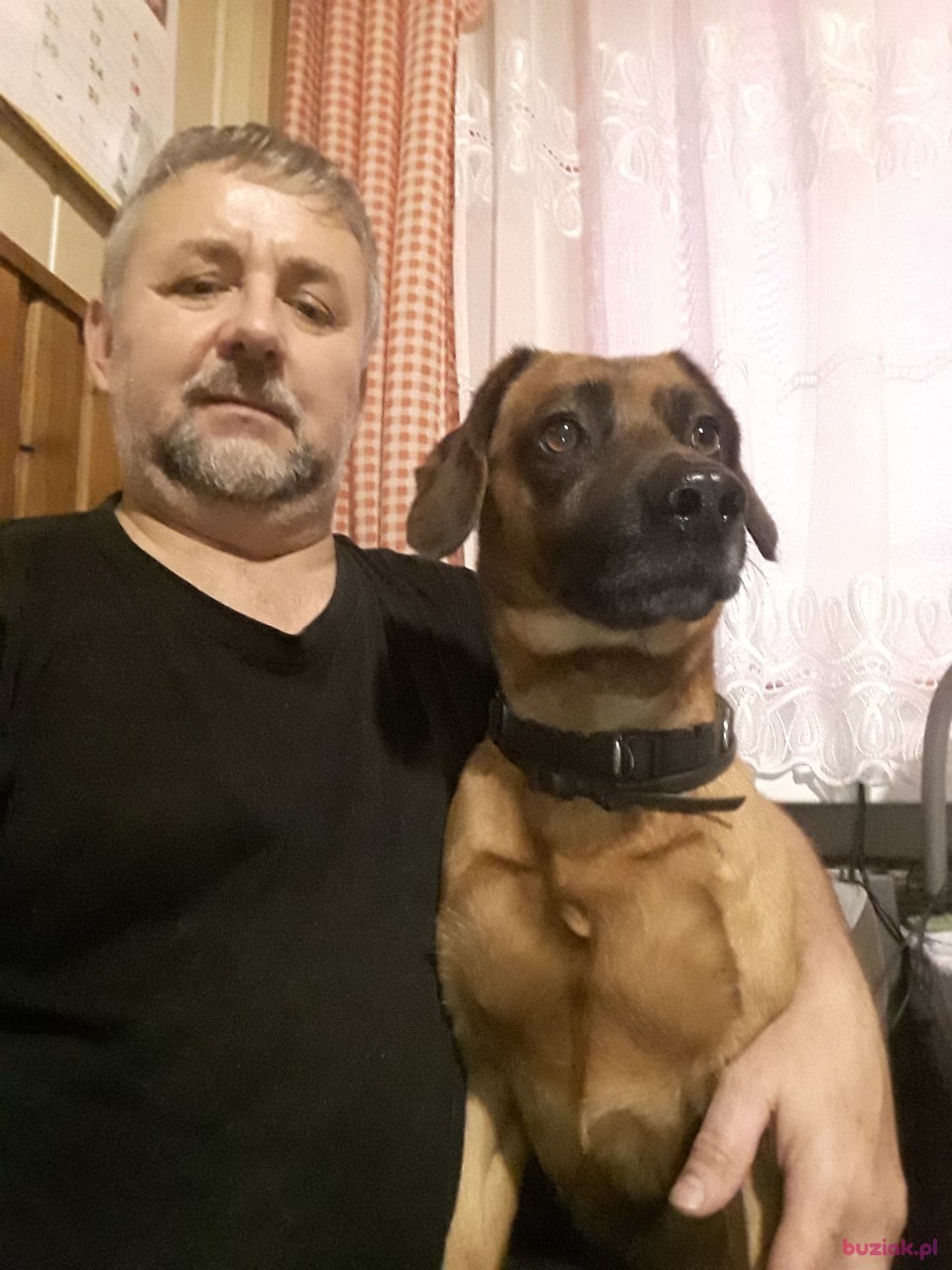 Tomasz, Male, 62, Lębork, Polska: 1
