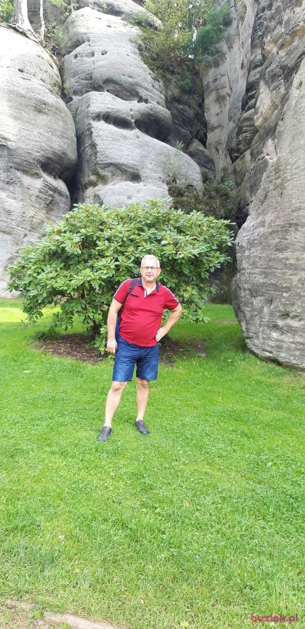 Mirek, Male, 62, Gliwice, Polska, Photo: 6