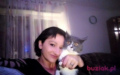 asia, Kobieta, 50, Hamburg, Niemcy, Zdjęcie: 3