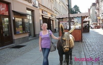 Anna, Kobieta, 42, Poznań, Polska: 1