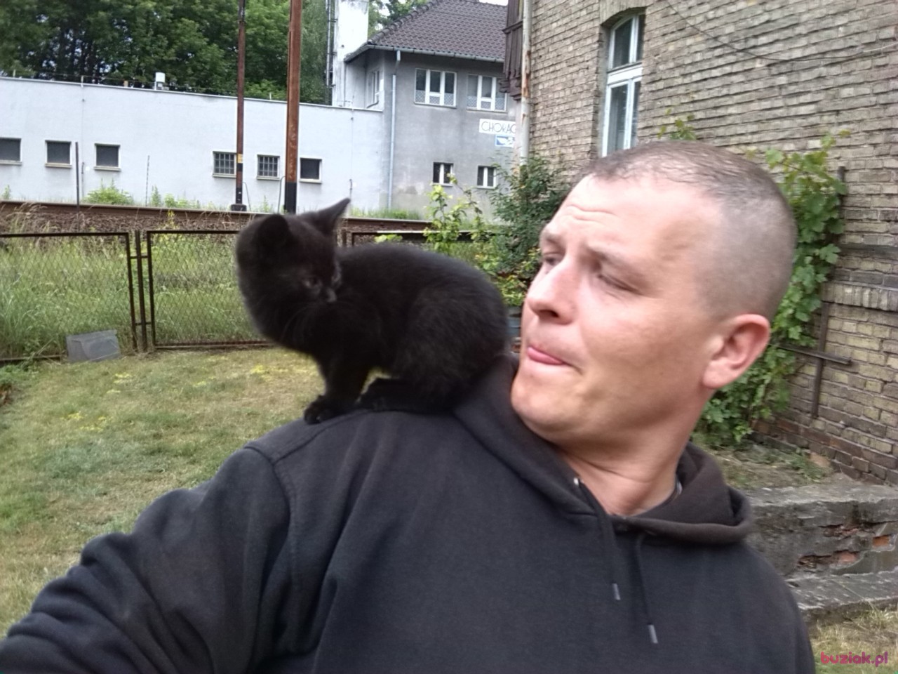 Kevin, Male, 45, Guben, Niemcy: 1