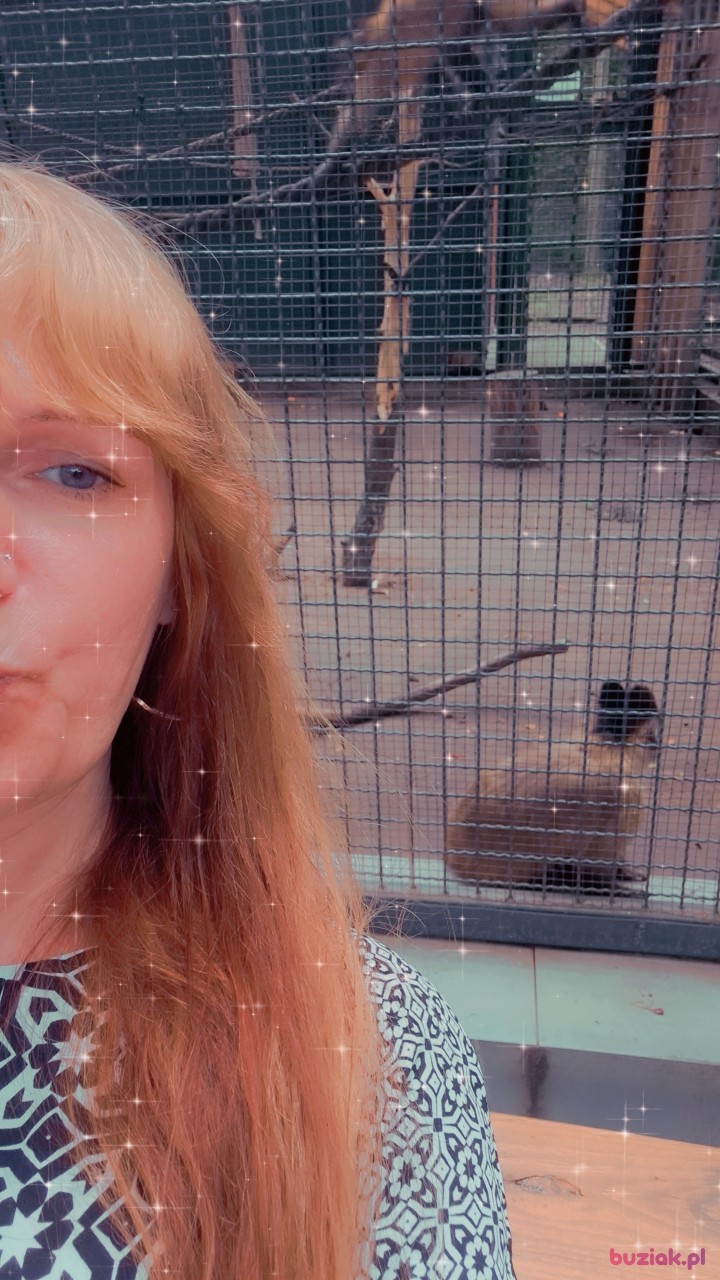 Ania, Kobieta, 43, Świnoujście, Polska, Zdjęcie: 4