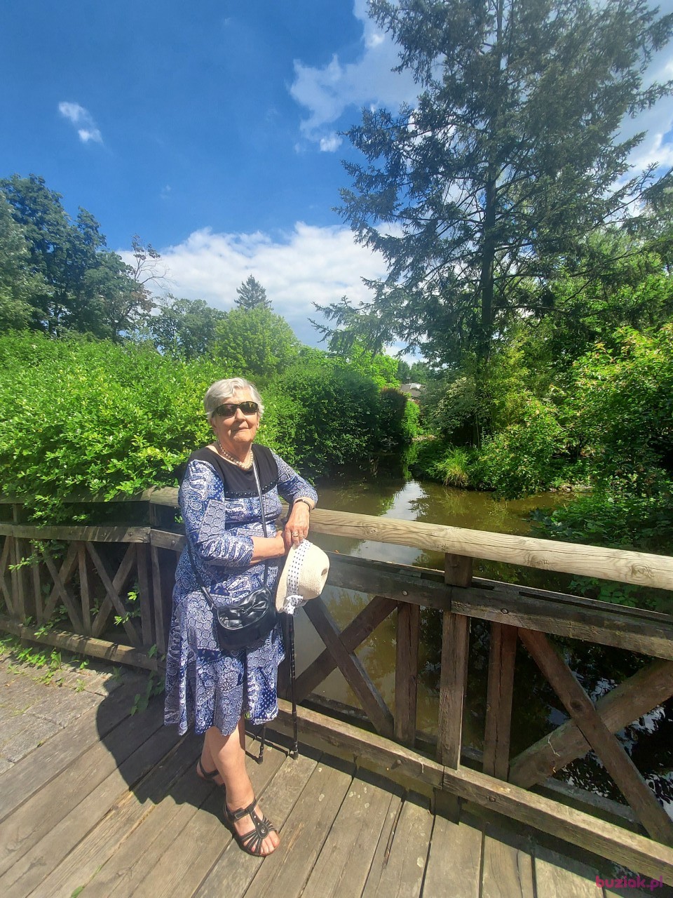 Emilia, Kobieta, 80, Kędzierzyn-Koźle, Polska, Zdjęcie: 2