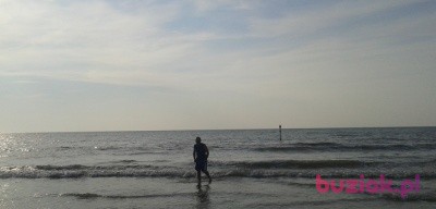 michal, Mężczyzna, 51, Katowice, Polska, Zdjęcie: 3