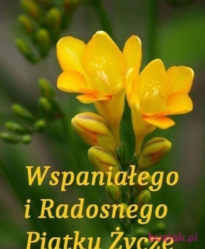 Wacek, Male, 65, Skierniewice, Polska, Photo: 10