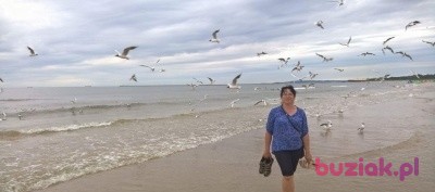 Jolanta, Kobieta, 51, Polska, Zdjęcie: 1