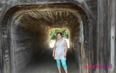 Halina, Kobieta, 68, Konin, Polska: 1