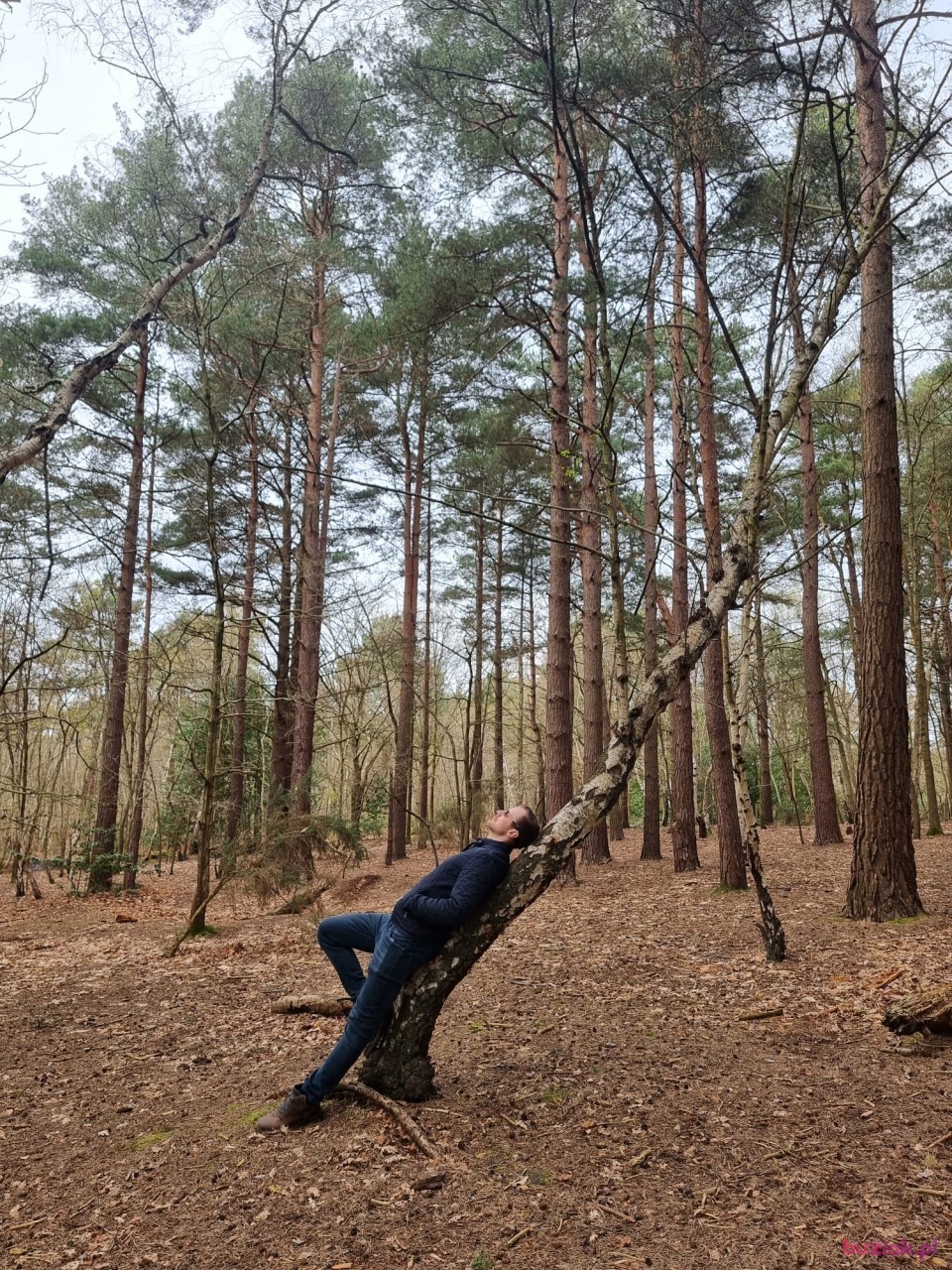 Marcin, Mężczyzna, 33, Westminster, Wielka Brytania, Zdjęcie: 2