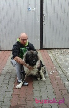 Michał , Male, 40, Wronki, Polska, Photo: 1