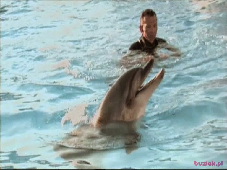 Cezary, Mężczyzna, 53, Warszawa, Polska, Zdjęcie: 4