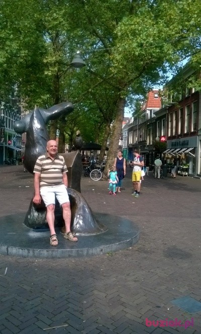 marek, Male, 70, Jarosław, Polska: 1