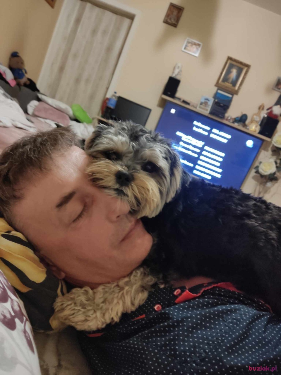 Robert, Male, 49, Kraków, Polska, Photo: 2