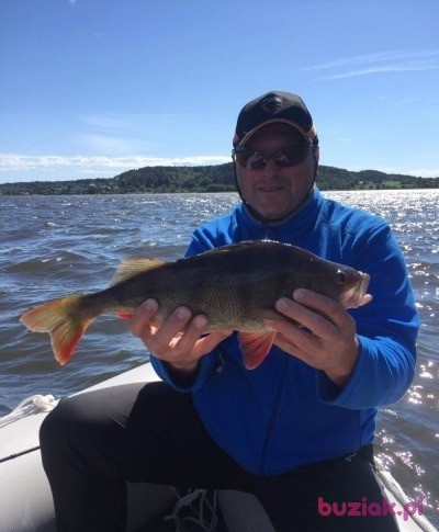 Slawek, Male, 59, Białystok, Polska, Photo: 3