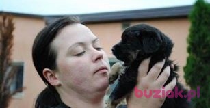 joanna, Kobieta, 42, Lublin, Polska, Zdjęcie: 1