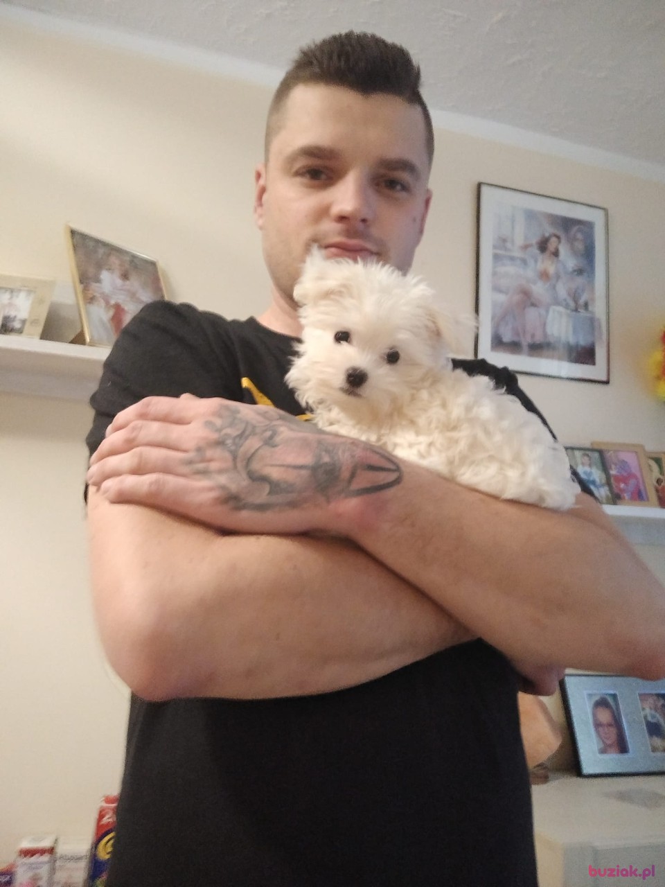 Dawid, Male, 35, Zielona Góra, Polska, Photo: 4