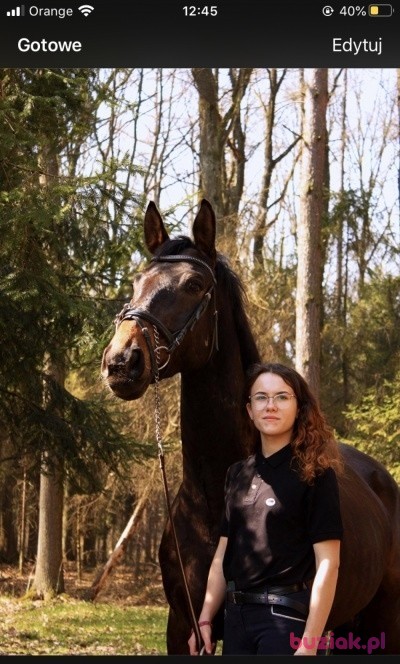 Paulina , Female, 23, Jastrzębie Zdrój, Polska: 1