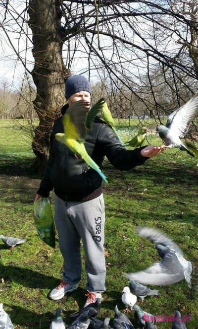 Aureliusz, Mężczyzna, 47, Westminster, Wielka Brytania, Zdjęcie: 12