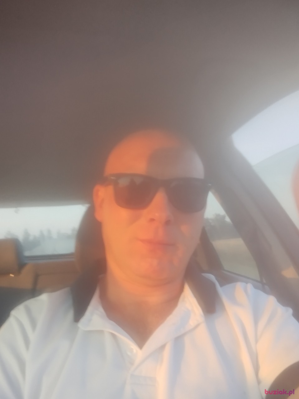 Wilk, Male, 37, Dąbie, Polska: 1
