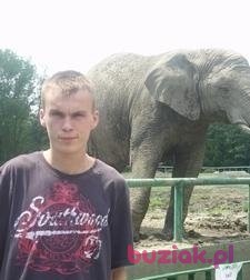 Piotr, Male, 39, Ruda Śląska, Polska: 1